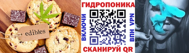 OMG вход  Рузаевка  Печенье с ТГК конопля 