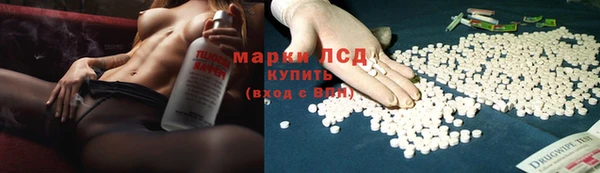 индика Бугульма