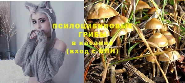 твердый Нея