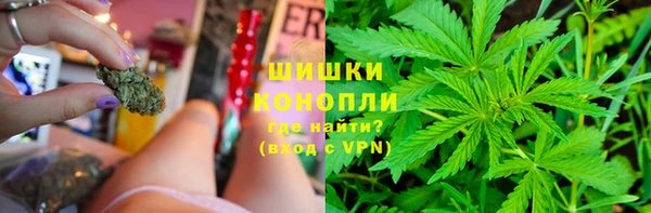 индика Бугульма